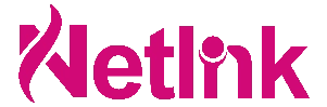 Netlink Logo