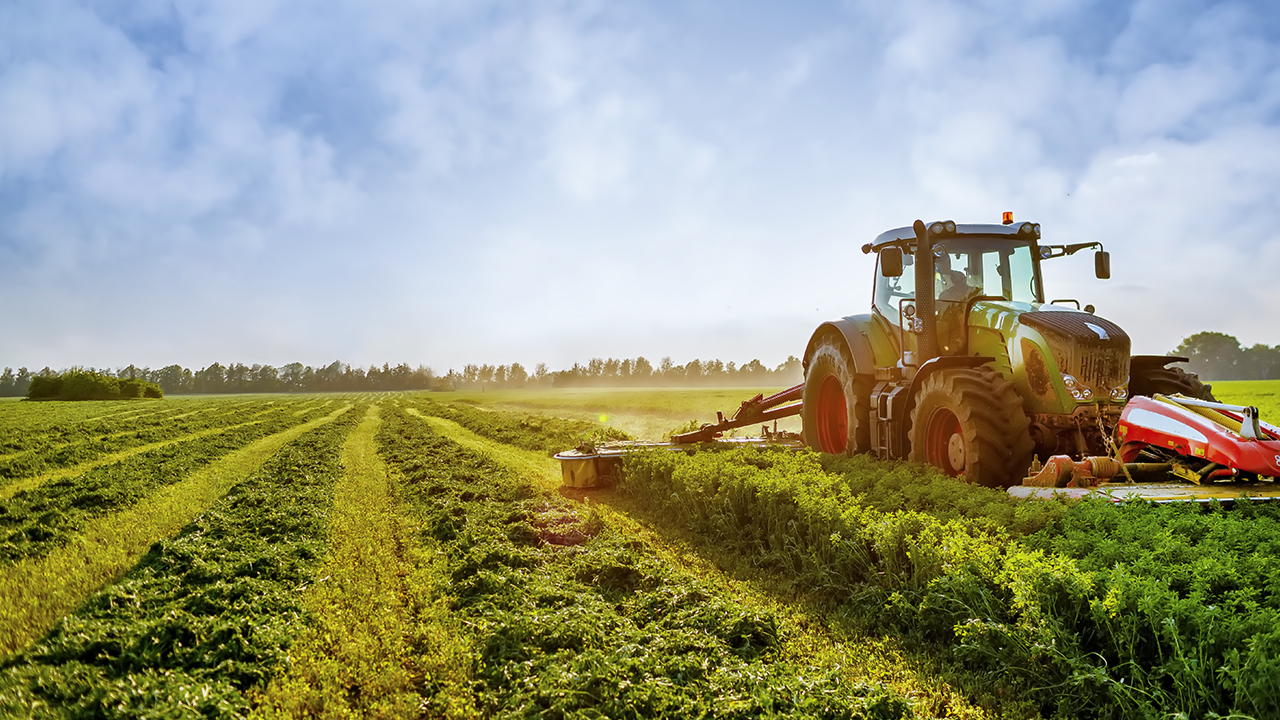 Food & Agro-Processing