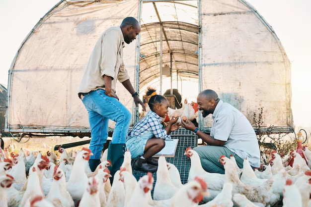 Livestock Business